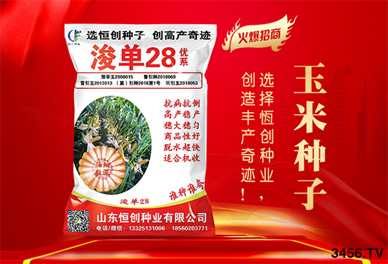 玉米購(gòu)種季來(lái)臨,對(duì)種子有什么顧慮?看看不一樣的選種技巧! 玉米購(gòu)種季來(lái)臨,對(duì)種子有什么顧慮?看看不一樣的選種技巧!