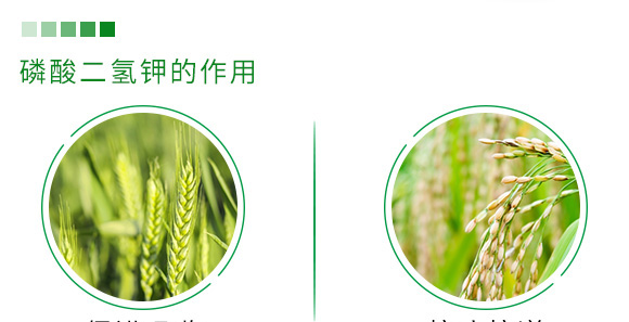 500g�ЙC(j��)��ጵ���-���_(d��)