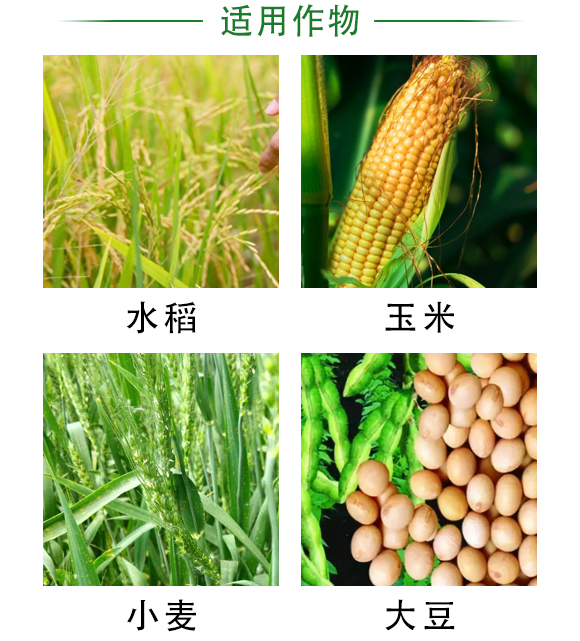 BSX-60T型比重篩選機-科邦農(nóng)業(yè)機械