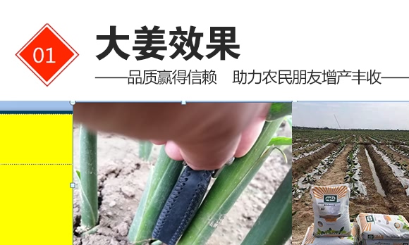 硝基復(fù)合肥16-8-21-九星惠農(nóng)