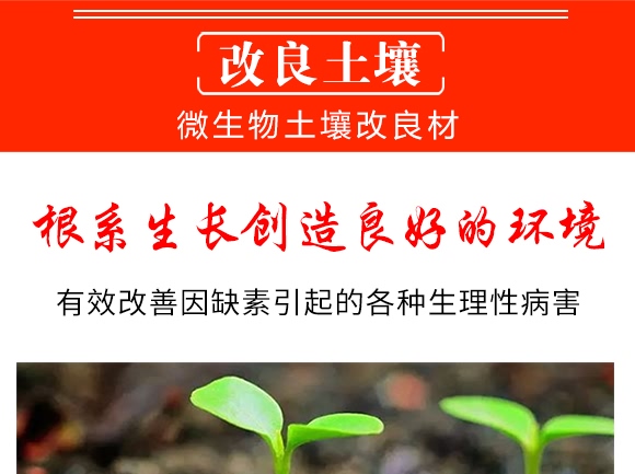微生物土壤改良材-九星惠農(nóng)