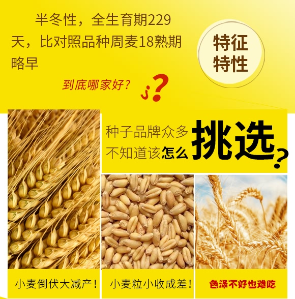 ���6311-С���N��-���N�I(y��)