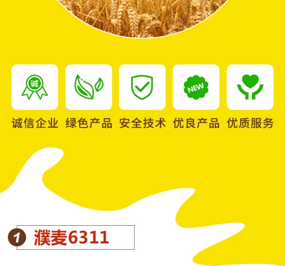 ���6311-С���N��-���N�I(y��)