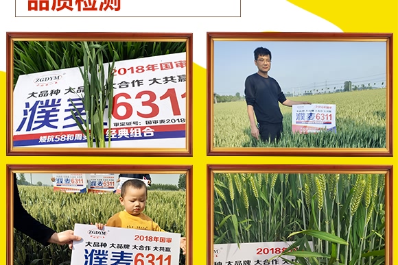 ���6311-С���N��-���N�I(y��)