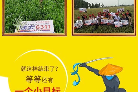 ���6311-С���N��-���N�I(y��)