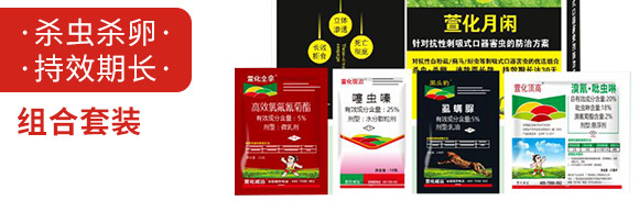 �滯���e-�滯���h(yu��n)