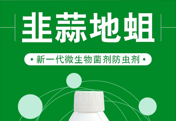 韭蒜地蛆-德瑞森