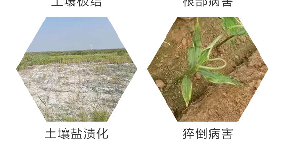 ��΢��Ԫ�ؾ���w��-��˹���r(n��ng)