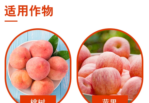 5%���S��������-�J�Mͣ-�Z������