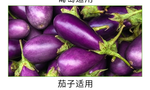 �������VԴ��ֳ���-̼��-�V��ͨ