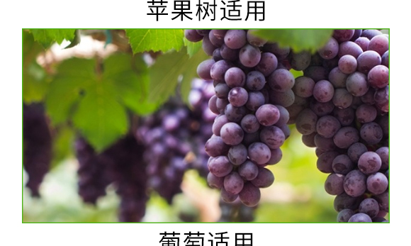 ������΢��΢�������-̼��-�V��ͨ