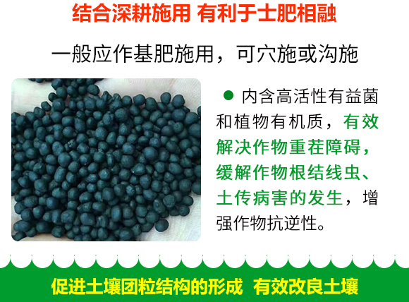 �����ЙC��-����8+2-���S�_