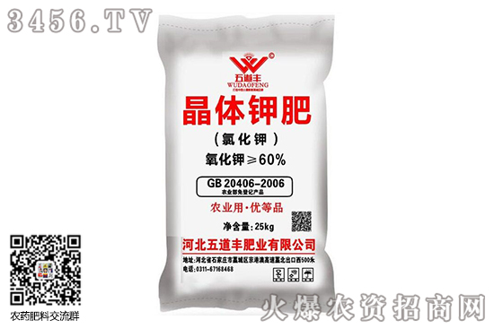 ⛷�����o��׃����2020-8-10����⛷ʃr(ji��)�������(b��o)�r(ji��)һ�[