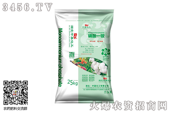 һ�@�r(ji��)�񕺟o(w��)�»��L(f��ng)�U(xi��n)��2020-10-4��������һ�@�r(ji��)�������(b��o)�r(ji��)