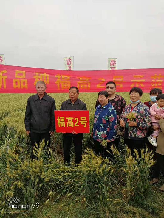 ����2̖-С���N��-���S