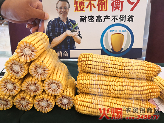 (li��n)���r(n��ng)�I(y��)�Ƽ����ӱ������޹�˾