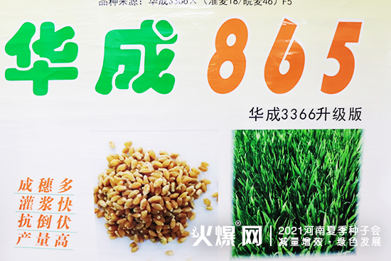 �۽�չ��������Ј���2021�����ļ��N�ӕ��������A���ڴ������W�R��