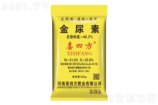 ���؃r���^�m(x��)������2021��9��6�Շ���(n��i)���؃r������