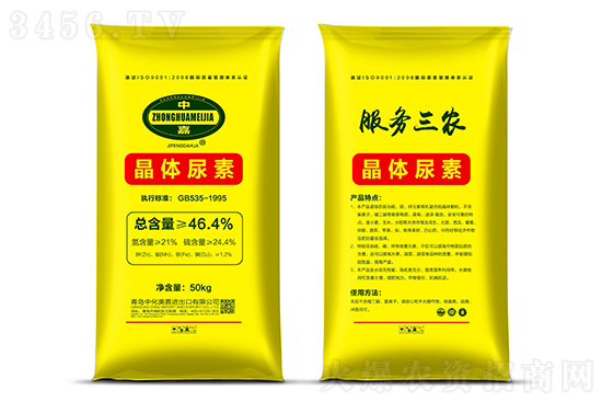 ���؃r������202-3-3