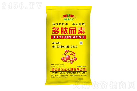 2022-3-4�������؃r���rһ�[