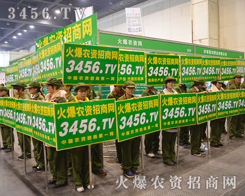 2015���ݷ��ϕ�(hu��)�����r(n��ng)�Y�W(w��ng)��չ���L(f��ng)��