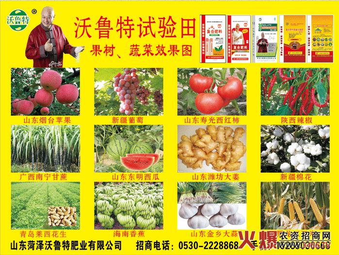 ɽ�|�ʝ������ػ������޹�˾