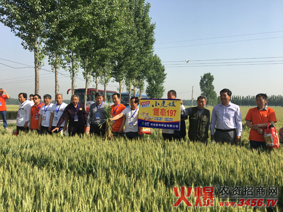 河南晨博種業(yè)有限公司