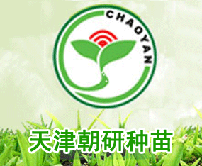 ����зN��Ƽ����޹�˾