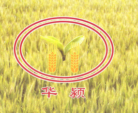 �����f�d�N�I(y��)���޹�˾