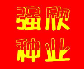 ���Ϗ����N�����޹�˾