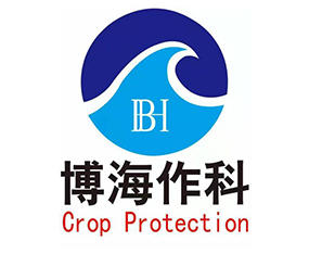 �ӱ������r�I(y��)�Ƽ����޹�˾