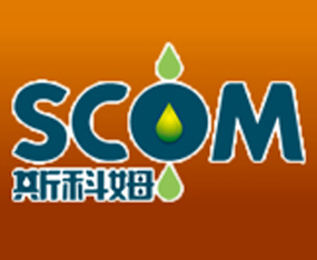 ����˹��ķ����Ƽ����޹�˾