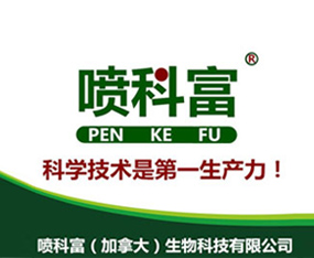 �_�������r�I(y��)�Ƽ����޹�˾