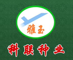 �Ĵ����Ͽ�(li��n)�N�I(y��)����؟�ι�˾