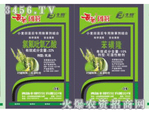 �S��-������