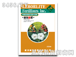 �G���R��Ч�\��