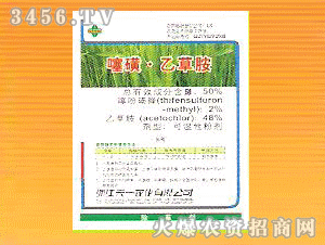 50%���-�Ҳݰ�WP