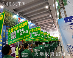 ���߰���������