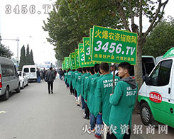 �����SˬӢ�����c��y�ֹ���ɽ�|ֲ����(hu��)