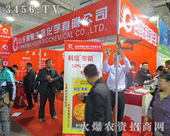 ɽ�|���������������