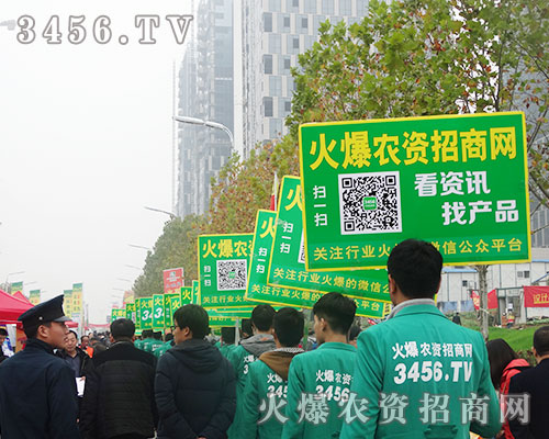 3456.tv�F�Yһ�y�ֲ���������31��ֲ����