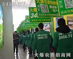 2015�����I�N�ӕ�(hu��)���r(n��ng)�Y�W(w��ng)�Գ�Խ���ˑB(t��i)���C�����Լ��Č�(sh��)����