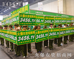 2015���ݷ��ϕ������r(n��ng)�Y�W(w��ng)��չ���L(f��ng)��