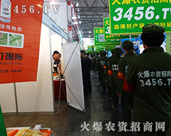 �Gɫ��(zh��n)ʿ���҂�Ŭ�����𱬓P(y��ng)����