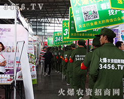 ���߰ɣ�������