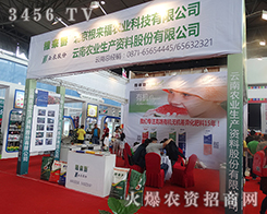 �����������r�I(y��)�Ƽ����޹�˾����2015�����r����-2015��12�������r�Y���[��