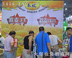 ��������(y��u)�N�I(y��)�Ƽ����޹�˾����2016�����ļ��N�ӕ�-2016����ʡ�ļ��N����Ϣ�����߮a(ch��n)Ʒչ�[��