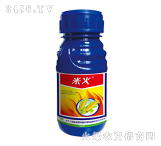 ��������݄�-�׻�-�G��