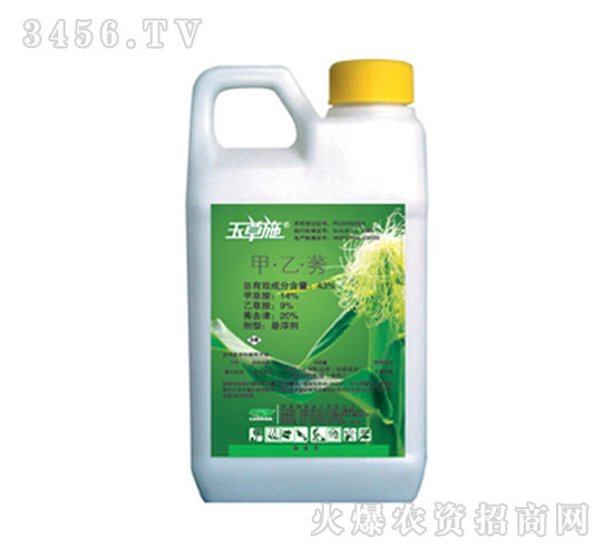 ����������݄�-���ʩ-�G��