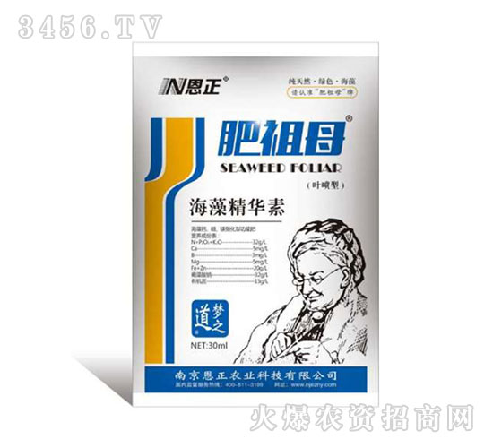 ���徫�A��-����ĸ-����